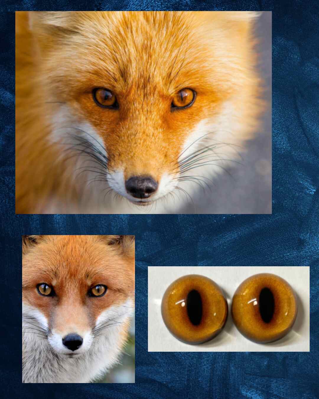 Red Fox Eye - Split pupil with bright orange red iris (RFox)