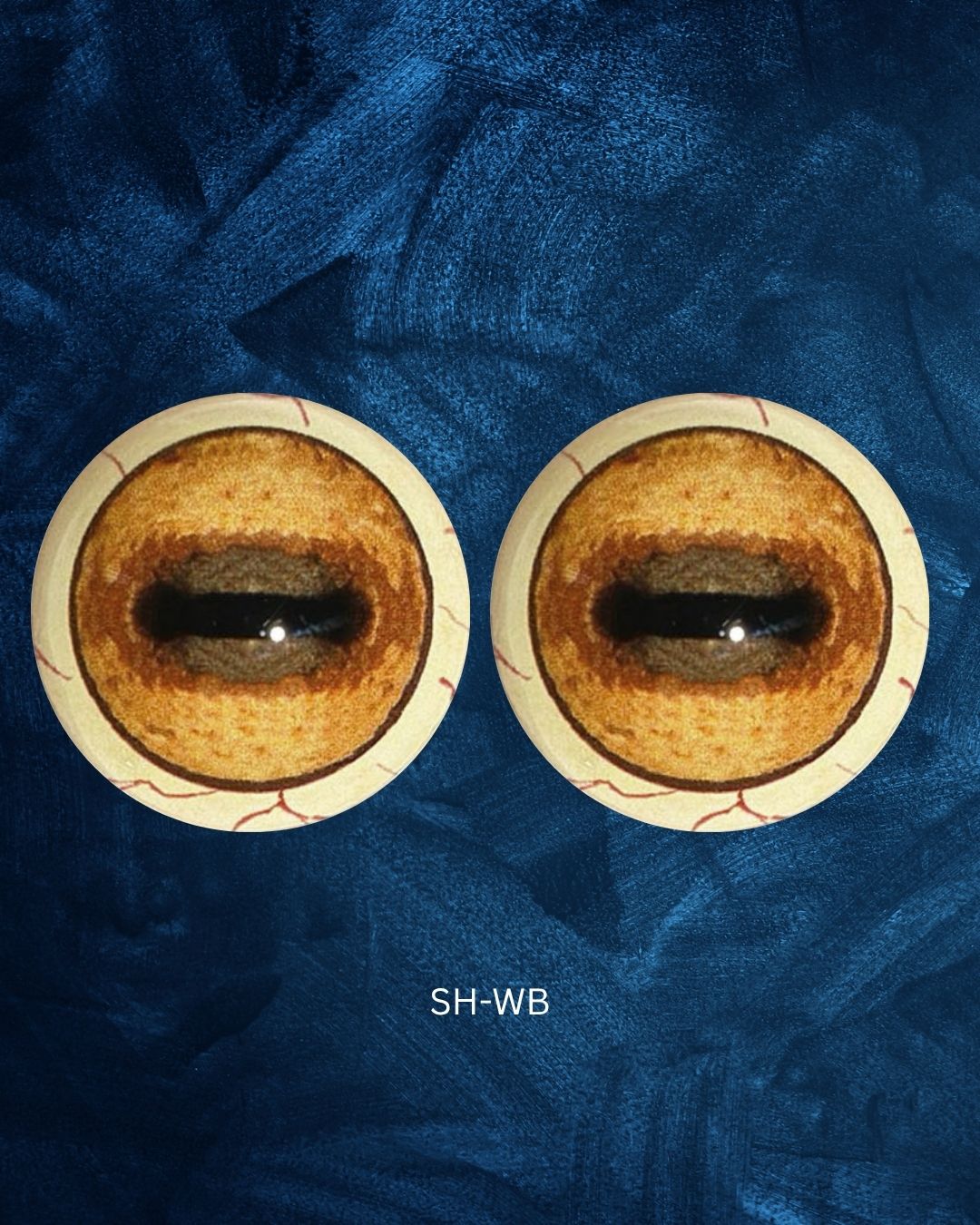 Sheep Eye - Oval pupil with saturated yellow iris and brown outer iris ring (SH)