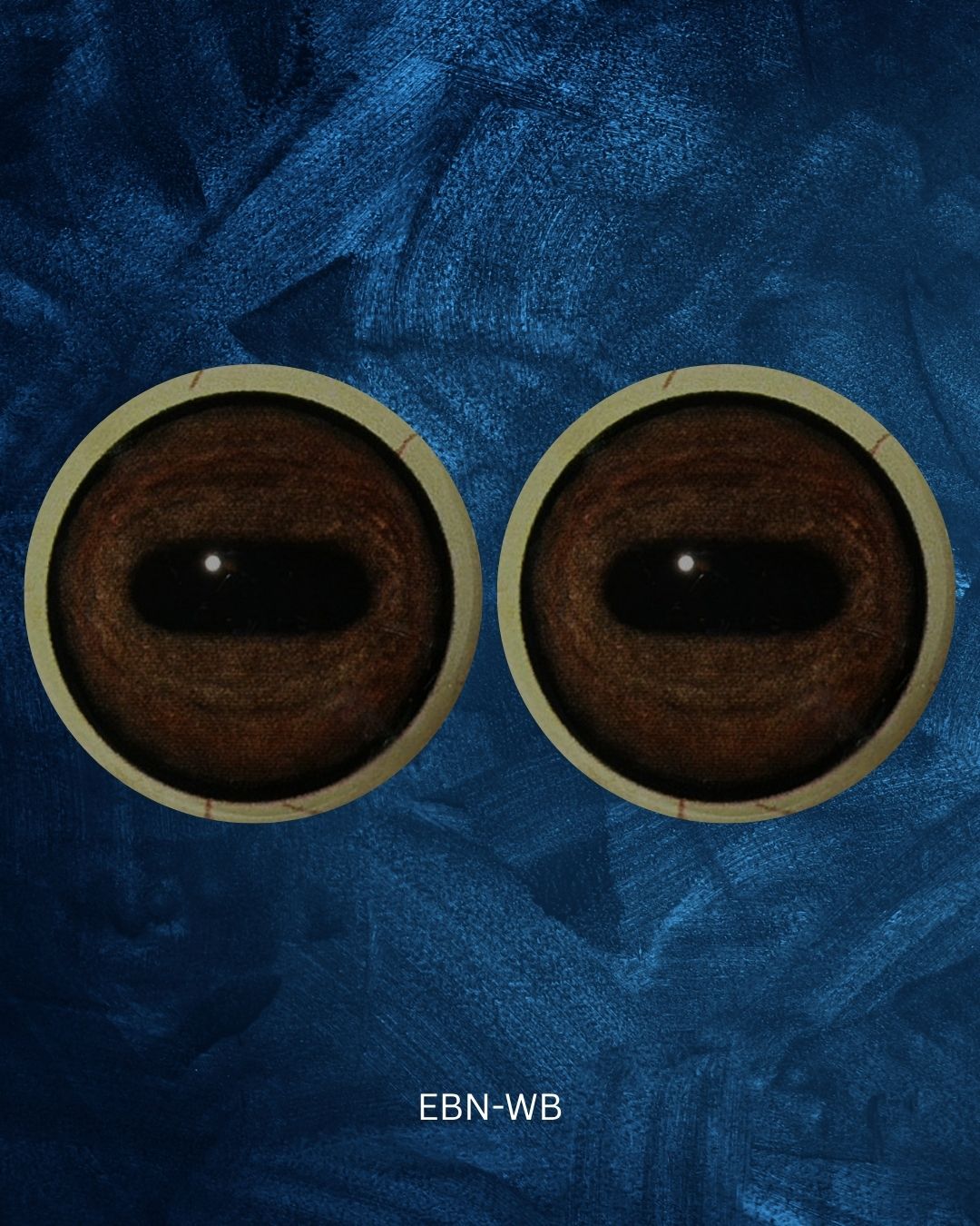 Medium brown - Oval Pupil with medium brown Iris and natural oval contraction rings (EBN)
