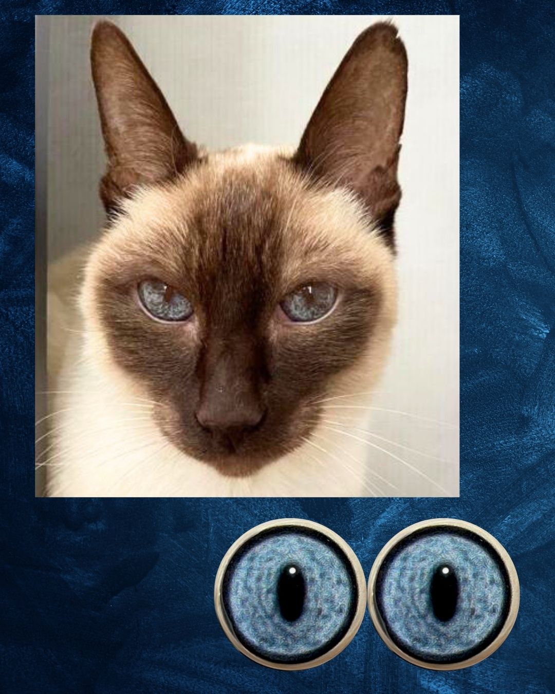 Cat Eye - Slit pupil with mottled blue grey iris (DcatB)