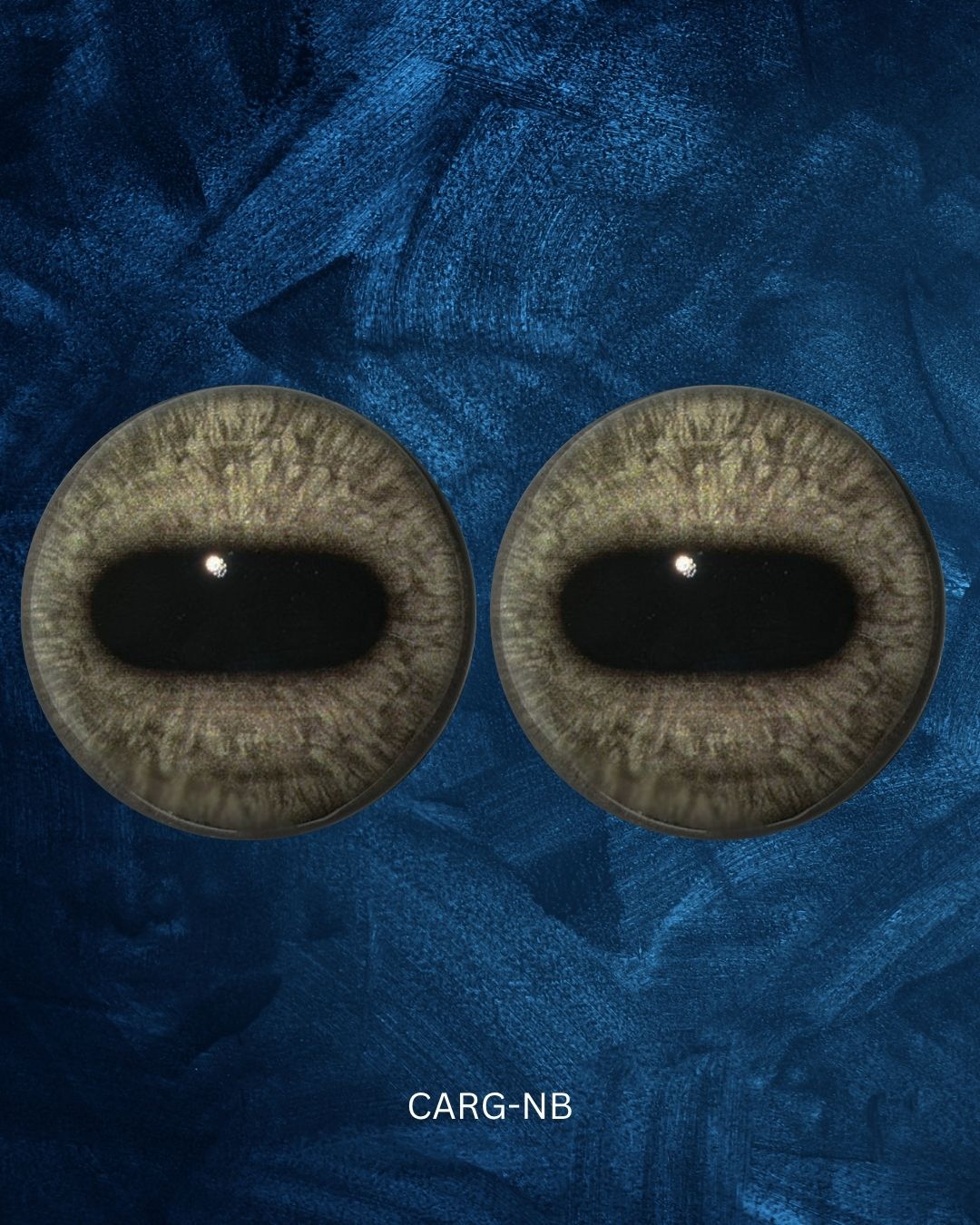 Caribou Eye - Oval Pupil with greyish Iris (CarG)