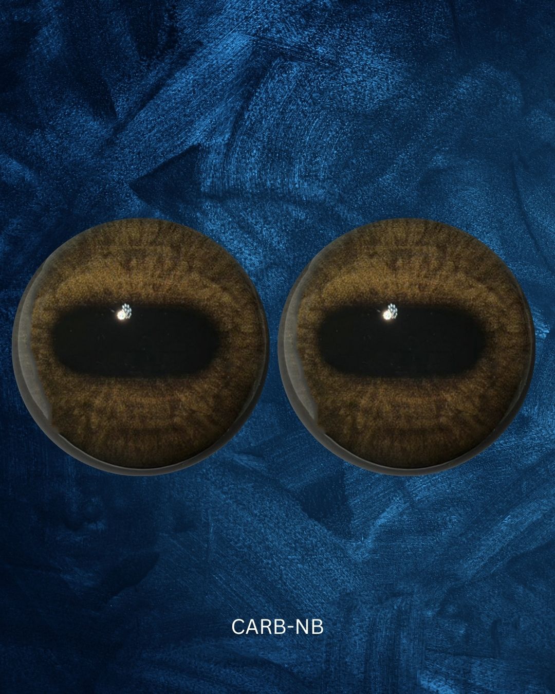 Caribou Eye - Oval Pupil with medium brown Iris (CarB)