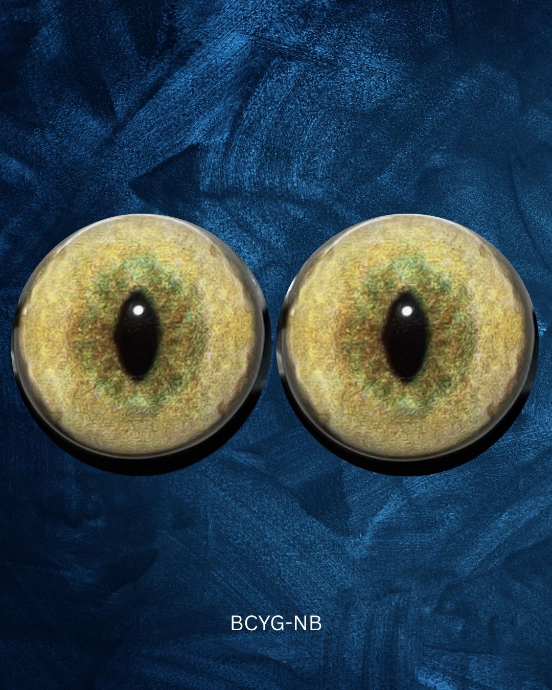 BCYG-NB