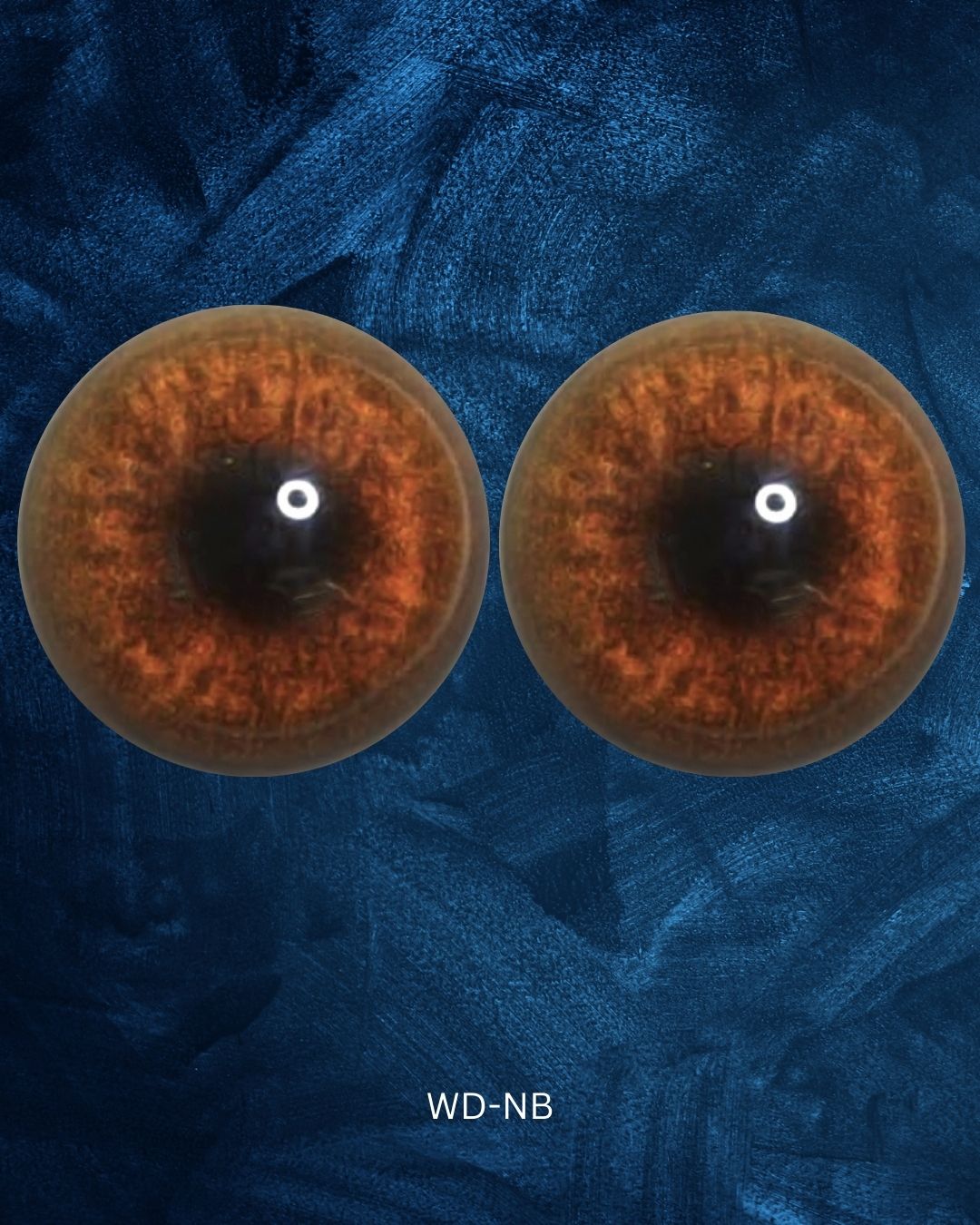 Wild Dog Eye - Round pupil with light brown Iris (WD)