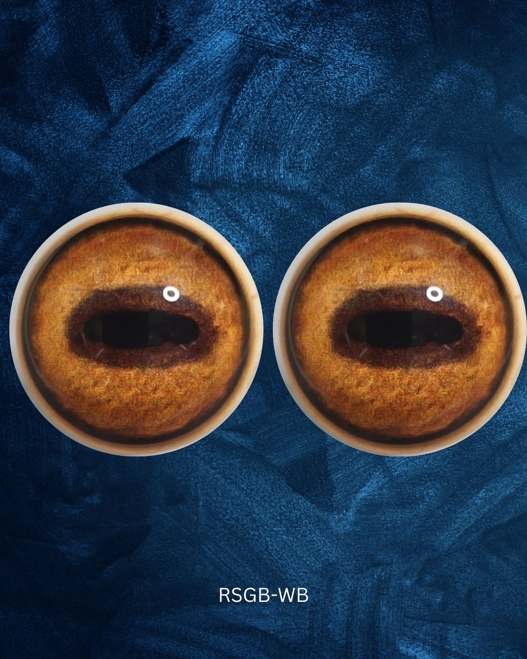 Red Deer Eye - Oval Pupil with golden brown Iris (RSGB)