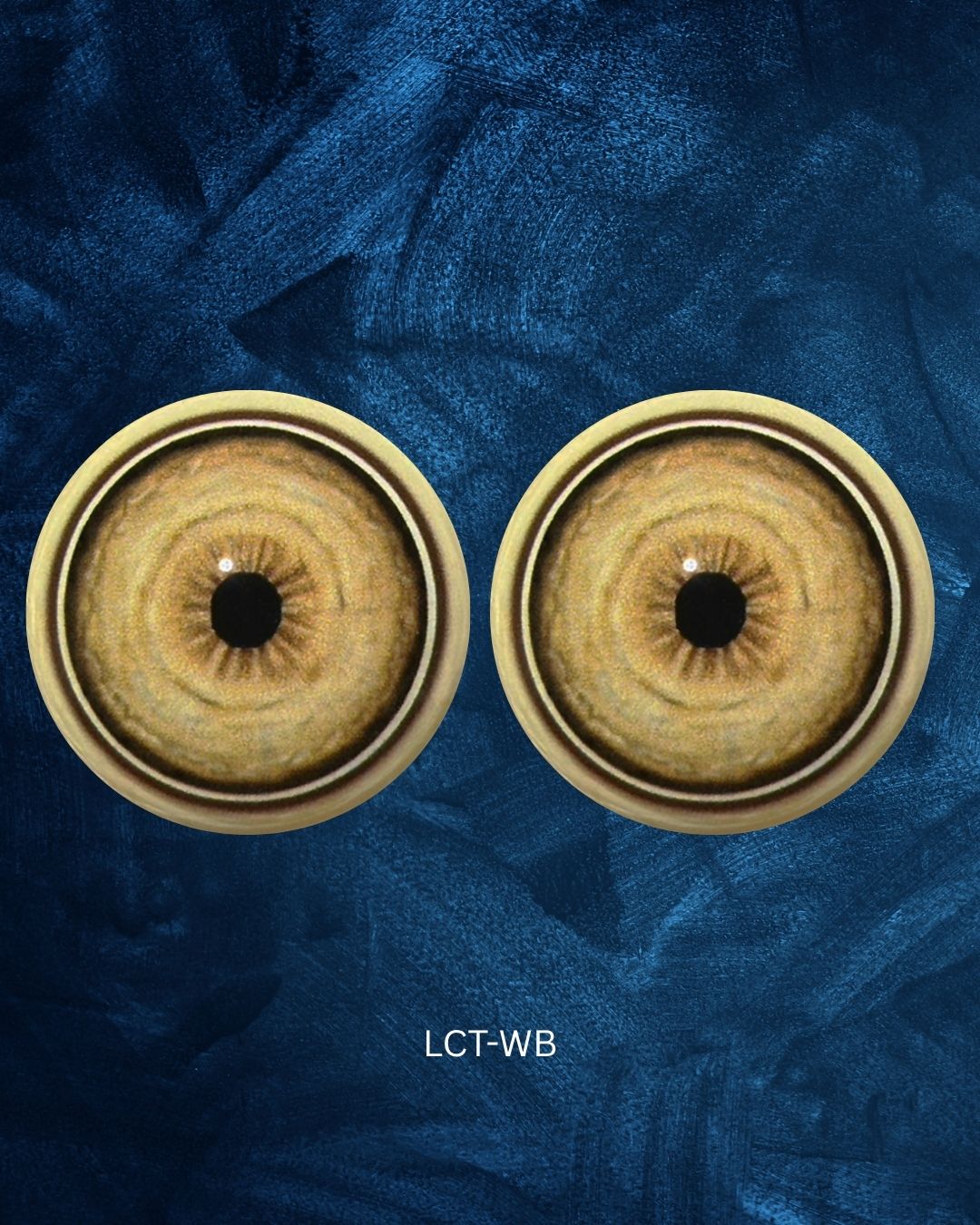 Lion Eye - Small pupil with yellow brown Iris and white, black and brown outer rings (LCT)