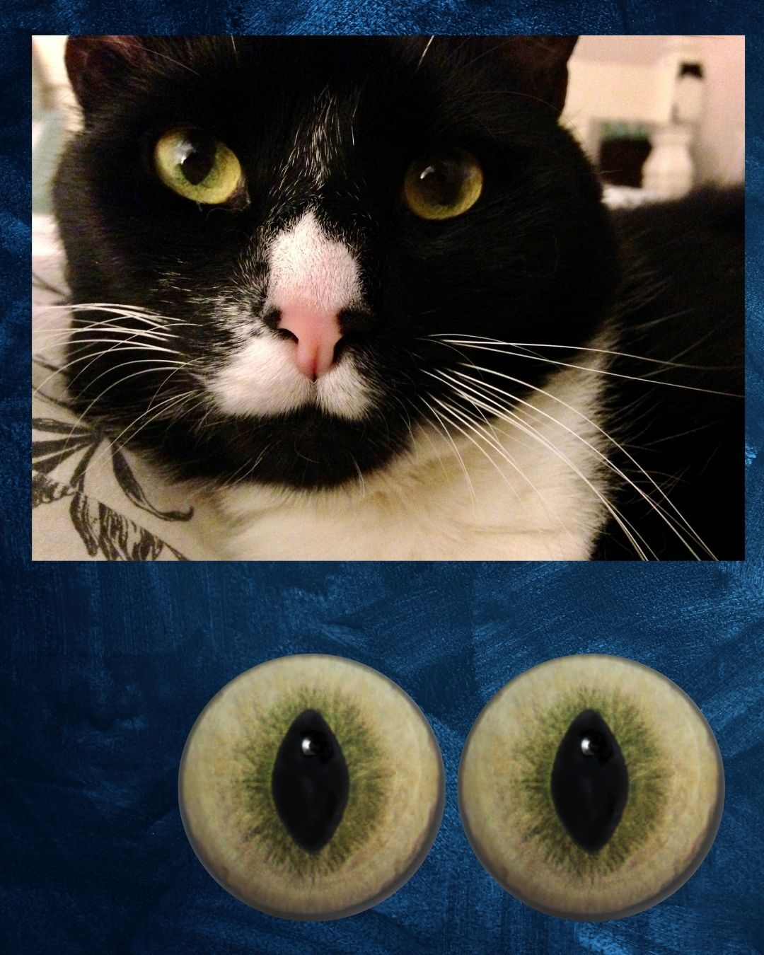 Cat Eye - Slit pupil with yellow to olive green iris (DcatY)