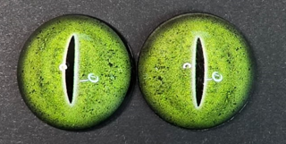 Crocodile Eye - Split Pupil with Green Irus and black green spots (CDG)