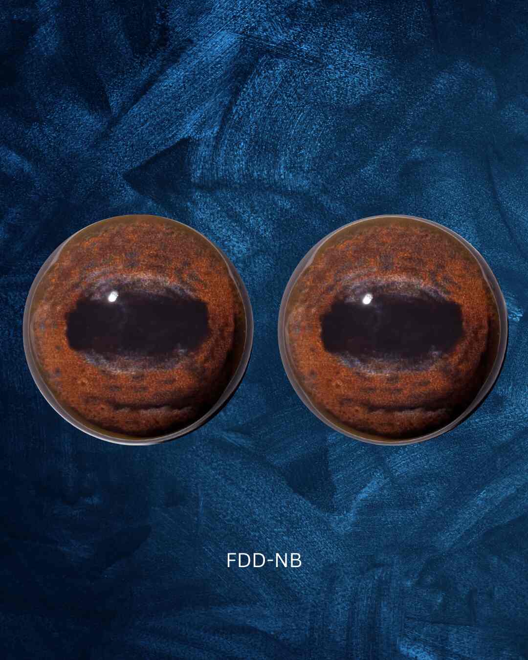 FDD-NB