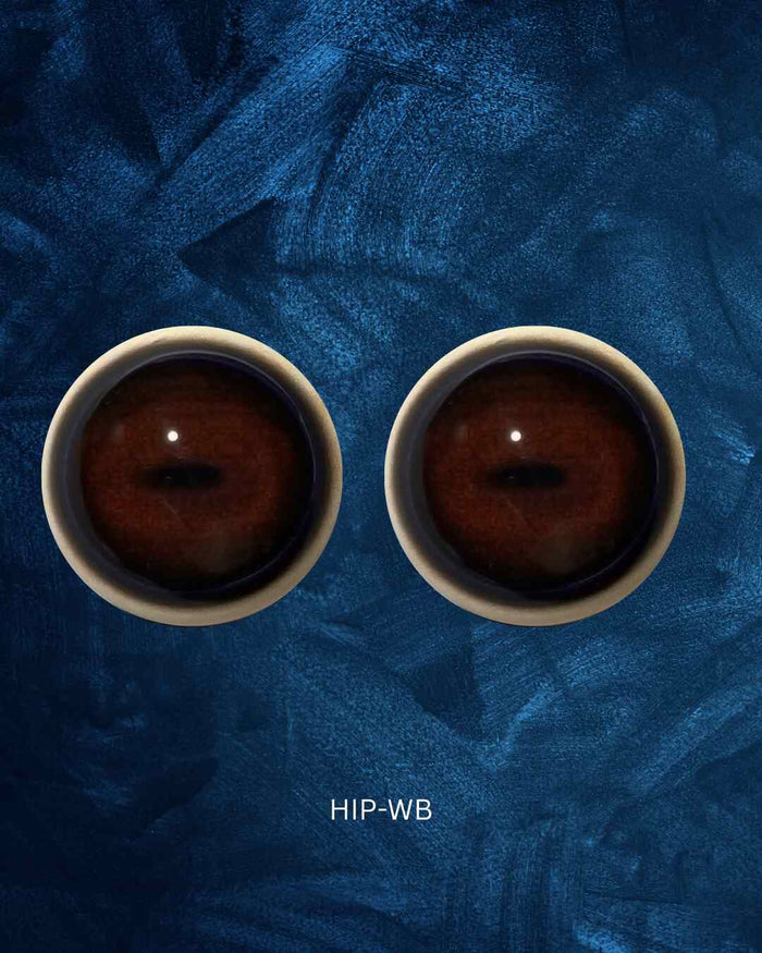 Hippo - Small horizontal slit pupil with brown iris and blue and black
