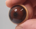 Hyena Eye - Round pupil with medium brown iris (Hyen)