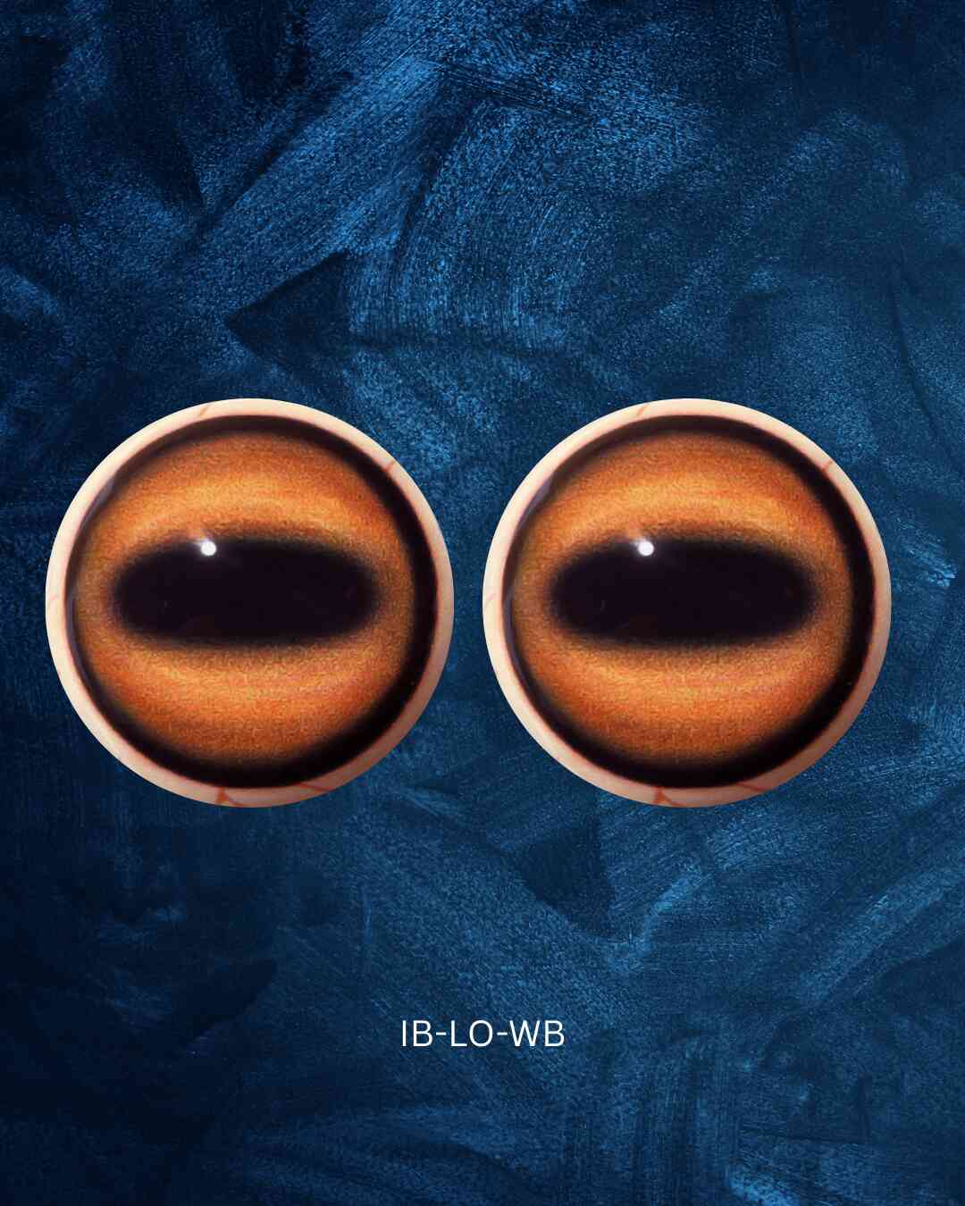 Ibex Eye - Oval Pupil with light-orange Iris (IB-LO)