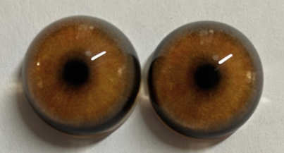 Jackal Eye - Round pupil with orange brown Iris and black outer ring (Jack)