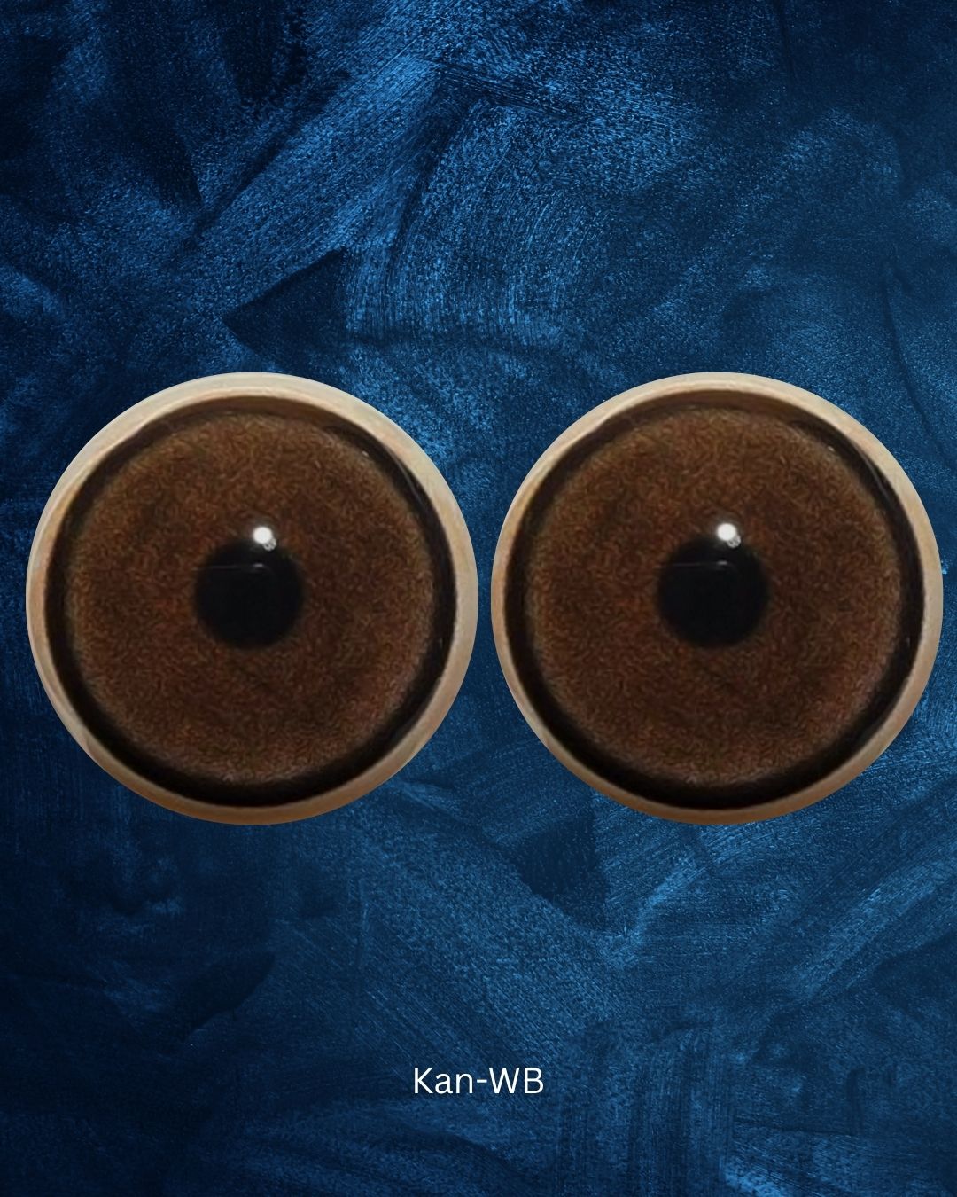 Kangaroo Eye - Round pupil with light brown iris (Kan)