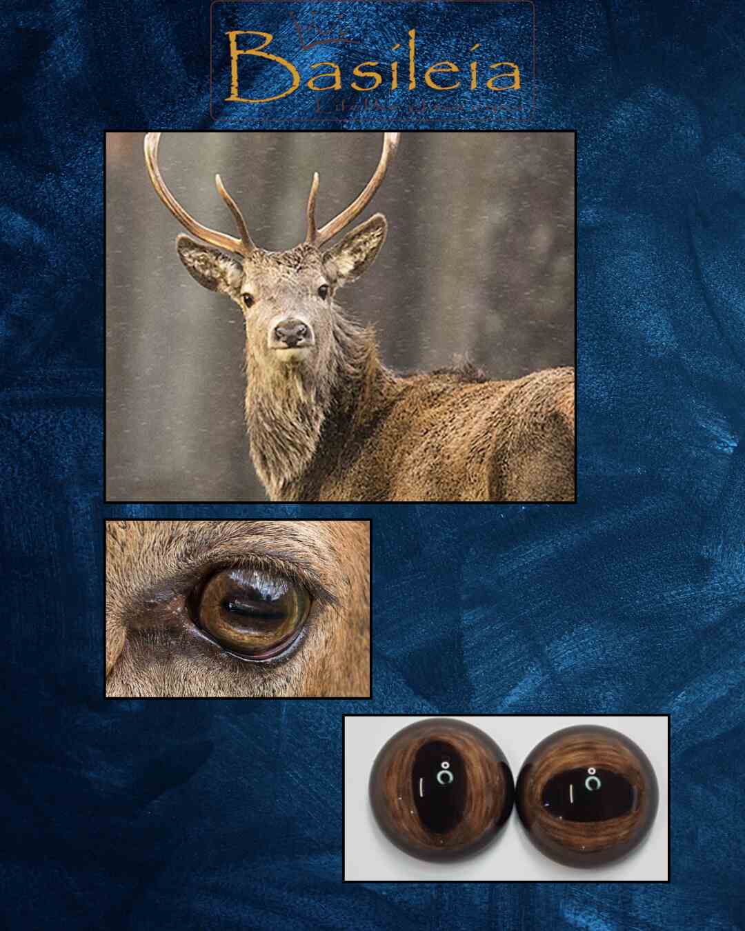 Red Deer Eye - Oval Pupil with medium brown Iris and creamy circular veins (RDB)