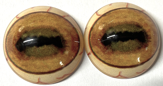 Sheep Eye - Oval pupil with saturated yellow irus and brown outer ring (SH)