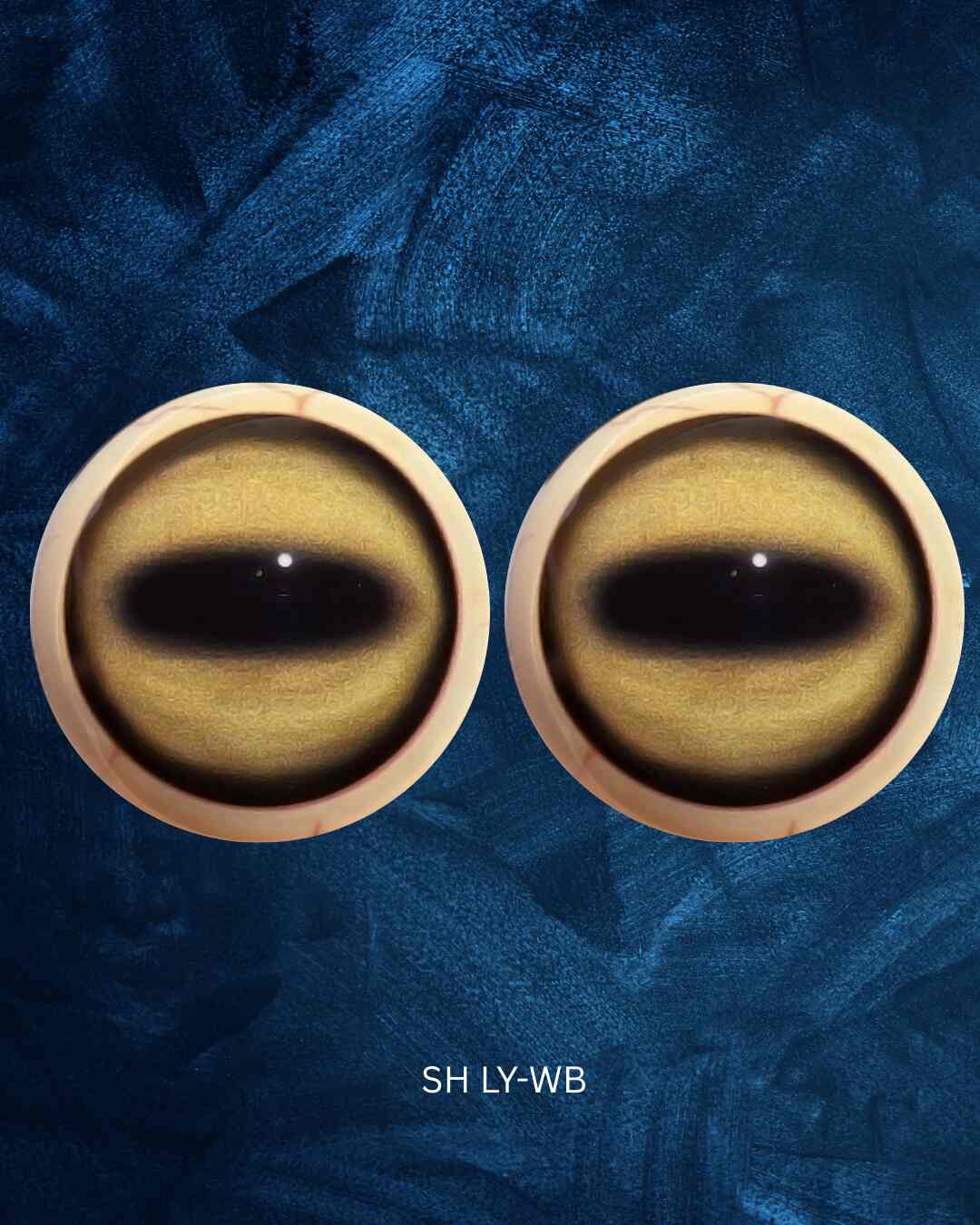 SH LY-WB