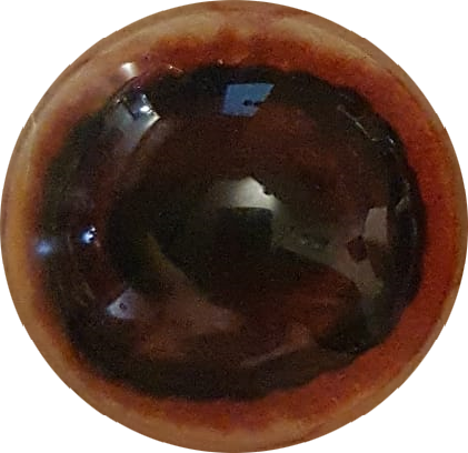 Sika Deer Eye - Oval Pupil with Red-brown Iris (SD)