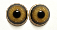 Wolf- Coyote Eye- Round pupil with Yellow Brown Iris (WOLYB)