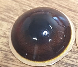 Warthog Eye - Round pupil with medium brown Iris with black inner and outer rings (VVC)