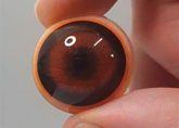 Bear Eye - Round Pupil with medium brown Iris (Bear)