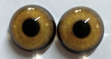 Wolf- Coyote Eye- Round pupil with Yellow Brown Iris (WOLYB)